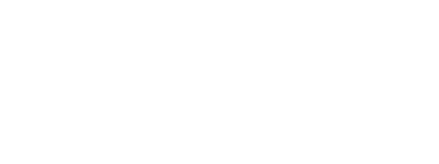 Visión Argentina Logo